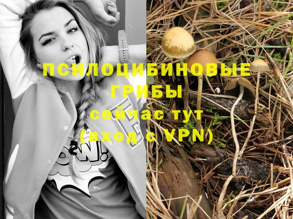 метадон Беломорск