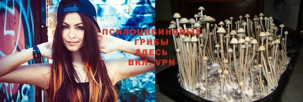 метадон Беломорск